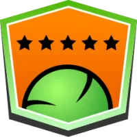 Djurgardens If Team Flag