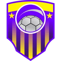 Fc Gieen Team Flag