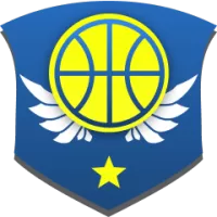 Cll Team Flag