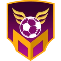 Sonderjyske Team Flag