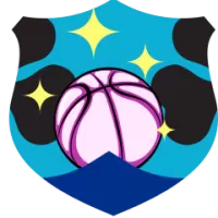 Mandurah Magic Team Flag