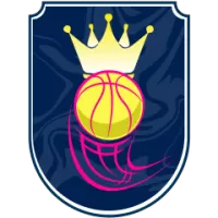 Knox Raiders Team Flag