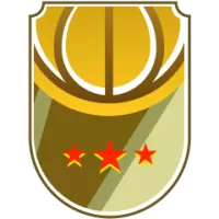 Sunshine Coast Phoenix Team Flag