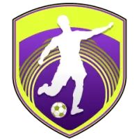 Anf Team Flag