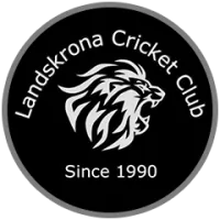Landskrona Team Flag