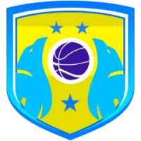 Dandenong Rangers Team Flag