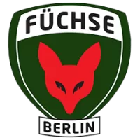 Fuchse Berlin Lions Team Flag