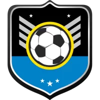 Patronato Team Flag