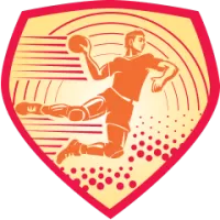 Aarhus Women Team Flag