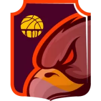 Cluj Napoca Team Flag