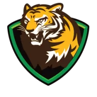 Bengal Under 19 Team Flag