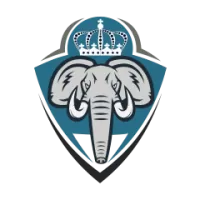 Kerala Under 19 Team Flag