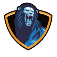 Mumbai Under 19 Team Flag