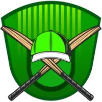 Vca Green Team Flag