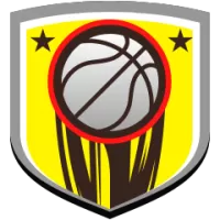 Tofas Bursa Team Flag