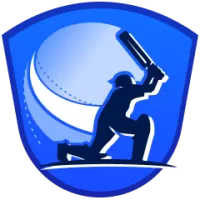 Vca Blue Team Flag