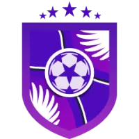 Hb Koge Women Team Flag