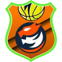Paok Mateco Team Flag