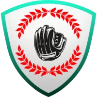 Tigres De Aragua Team Flag