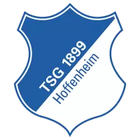 Tsg Hoffenheim Ladies Team Flag