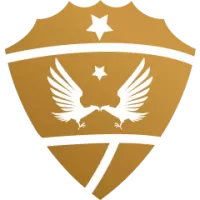 Cerrad Enea Czarni Radom Team Flag