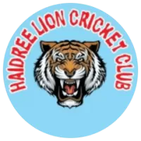 Haidree Lions Team Flag