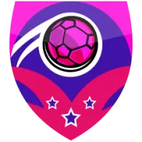Skanderborg Team Flag