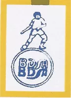 Birbhum Ironman Team Flag