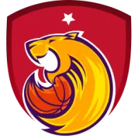 Bc Polkowice Women Team Flag