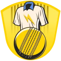 Qwik Cricket Club Team Flag