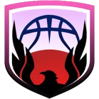 Merkezefendi Belediyesi Team Flag