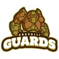Aravalli Guards Team Flag