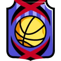 Townsville Fire Team Flag