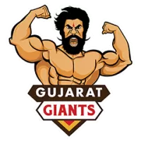 Gujarat Giants Flag