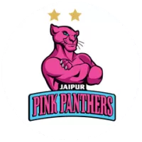 Jaipur Pink Panthers Flag