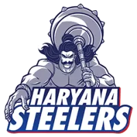 Haryana Steelers Flag