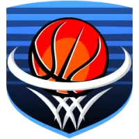 Ldlc Asvel Feminin Team Flag
