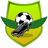 Ponte Preta Team Flag