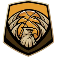 Dynamo Krusk Women Team Flag