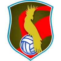 Palac Bydgoszcz W Team Flag
