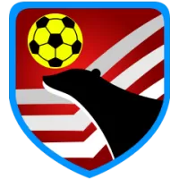Al Ahly Team Flag