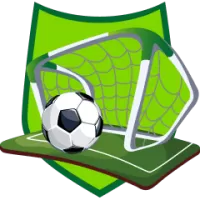 Agua Santa Team Flag