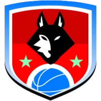 Afyon Belediye Team Flag