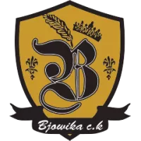 About Bjorvika Team