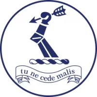 Carlton Team Flag