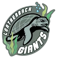 Giants Tt Team Flag