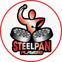 Steelpan Players Team Flag