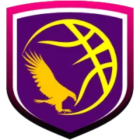 Csm Foscani Team Flag