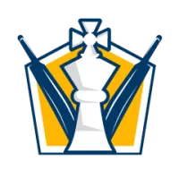 Lyca Kovai Kings Flag