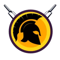 Vb Kanchi Veerans Team Flag